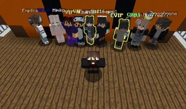 Quiz o lidze PLK w Minecraft!