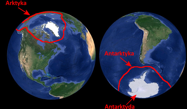 To zwierze mieszka na Antarktydzie, Arktyce czy Antarktyce?