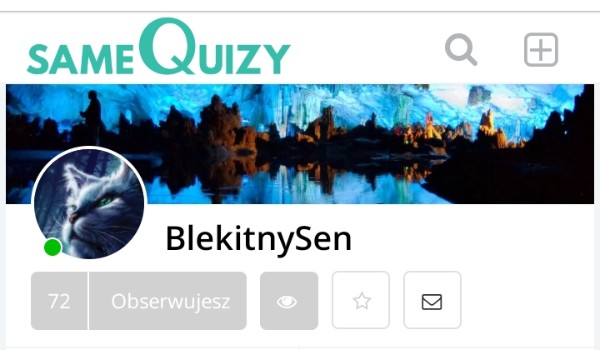 Oceniam profil @BlekitnySen