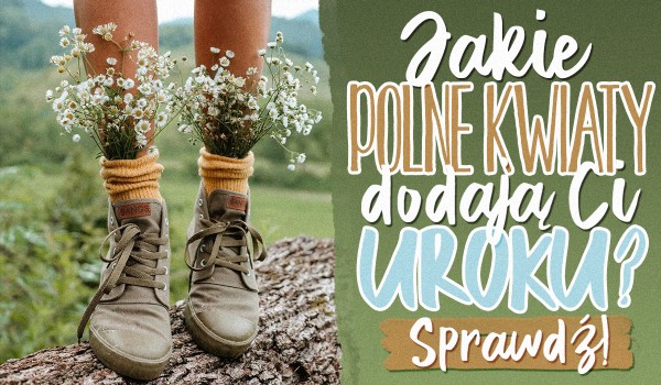 Jakie polne kwiaty dodają Ci uroku?