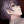 Ciel-TeaBoy