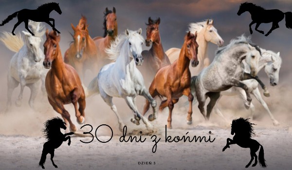 30 dni z końmi! Dzień 3