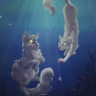 Warriors_Stories