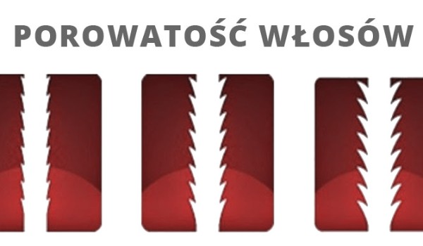 Porowatość włosow