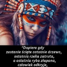amzonka01