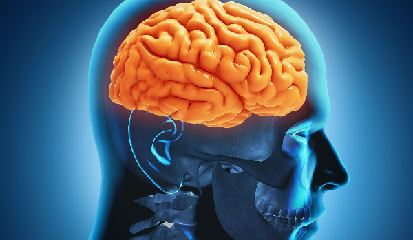 Ja vs mój mózg!!! Wojna BONUS