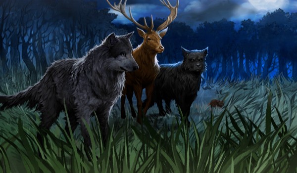 Talksy Hogwart- co oni zrobili?