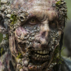 typ_co_lubi_zombie