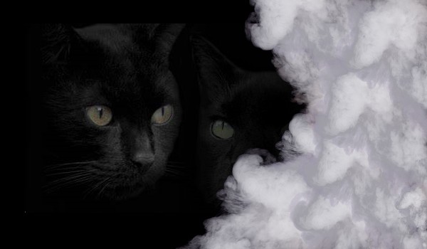 Klan Mgły ● Zapisy otwarte