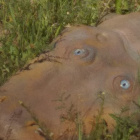 dolarek30