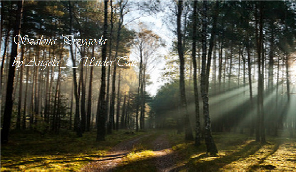 Szalona Przygoda- Utss x Reader #4