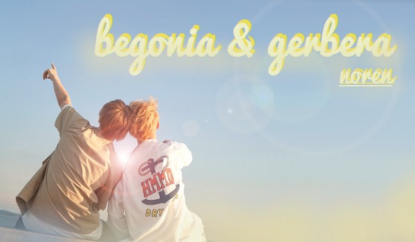 – begonia&gerbera – noren – #20
