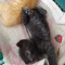 Maja_123__