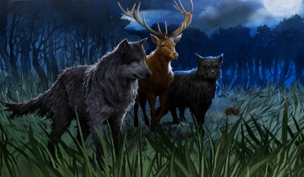 Talksy Hogwart- budyń