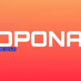 opona003