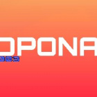 opona003