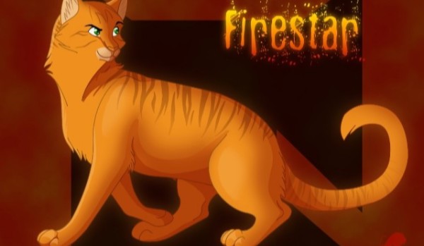 Wariors cats and I  ~ One