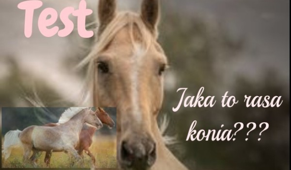 Test. Jaka to rasa?#2