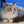 Zozol_12211221