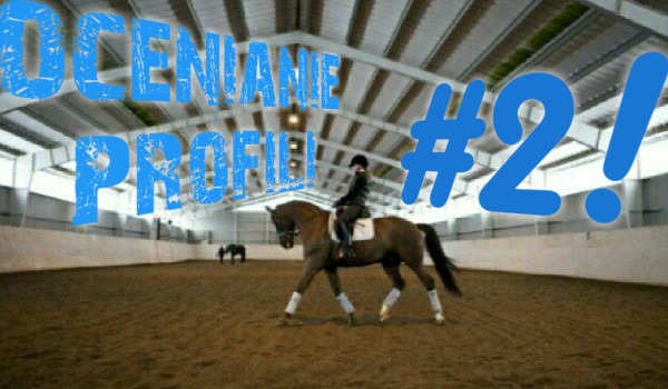 Ocenianie profili cz. 2