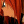 eevee--