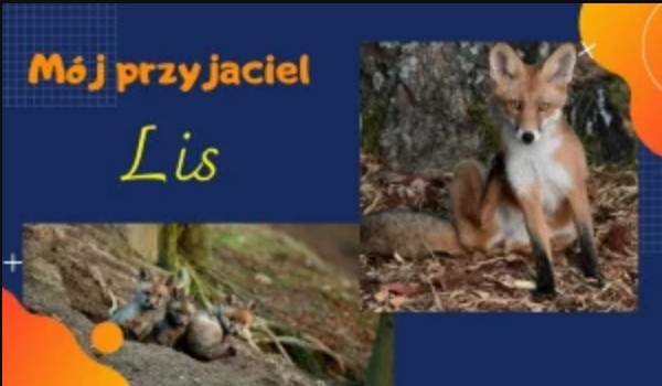 Mój przyjaciel lis #3