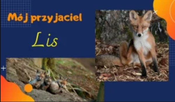 Mój przyjaciel lis #2