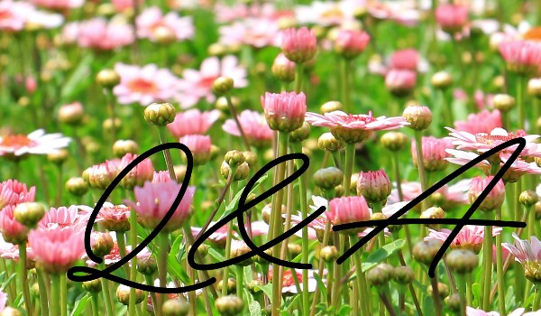 Pytania od happy_luna