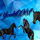 Youki0987