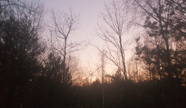 Czy da się naprawić?