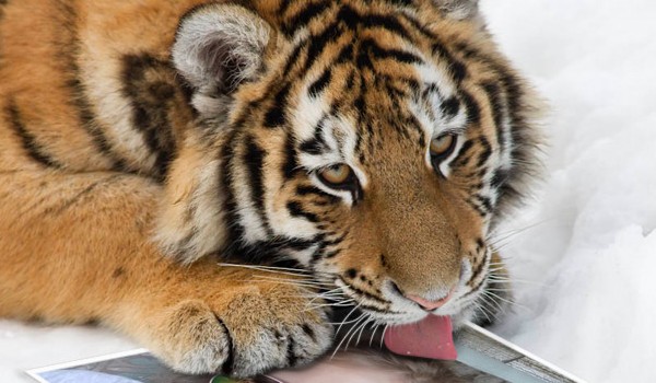 angielski sprawdź się 3 część