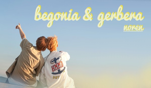 – begonia&gerbera – noren – #11