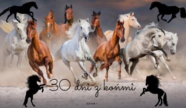 30 dni z końmi! Dzień 1