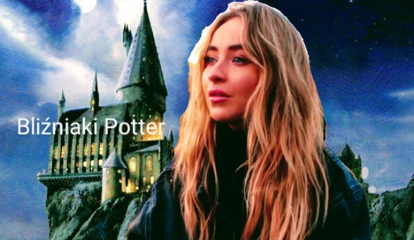 Bliźniaki Potter – 10