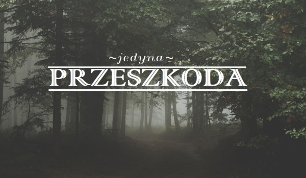 Jedyna przeszkoda-rozdział 6