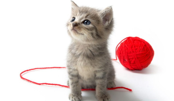 Oceniam profil – Diamentowa-Gwiazda