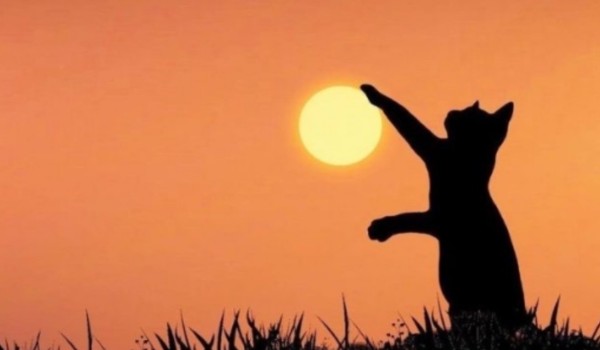 Ocenka profilu @RukolaBlack