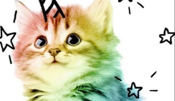 Pytania do Q&A cz. 2