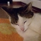 sweety123