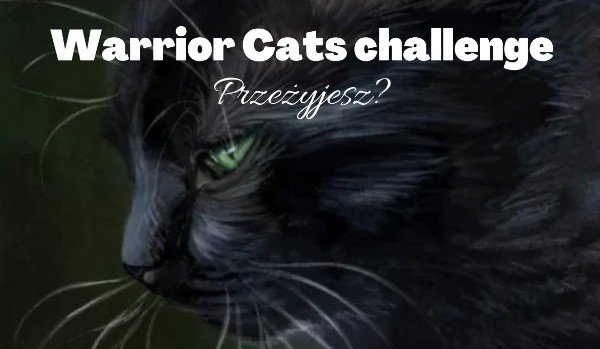 Warrior Cats challenge