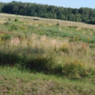 Likeczka