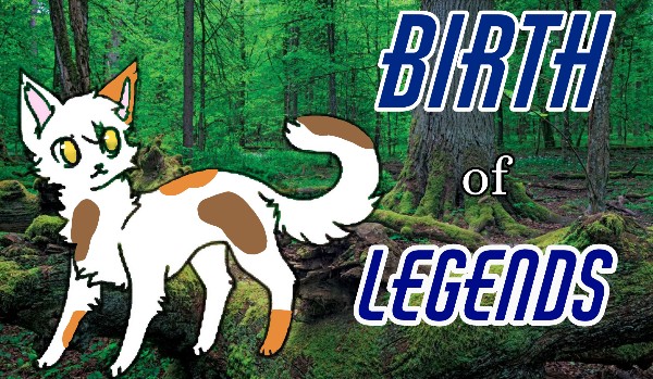 Birth of legends | rozdział 1 | opowiadanie interaktywne