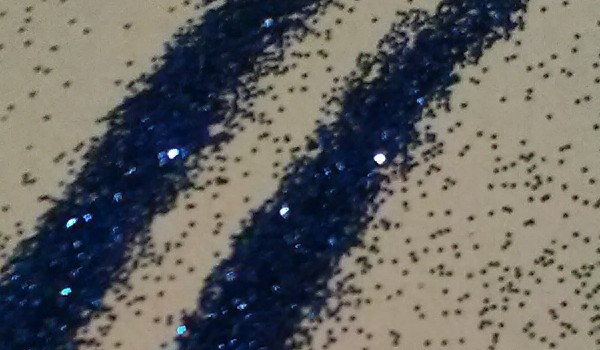 W stronę szczęścia #3