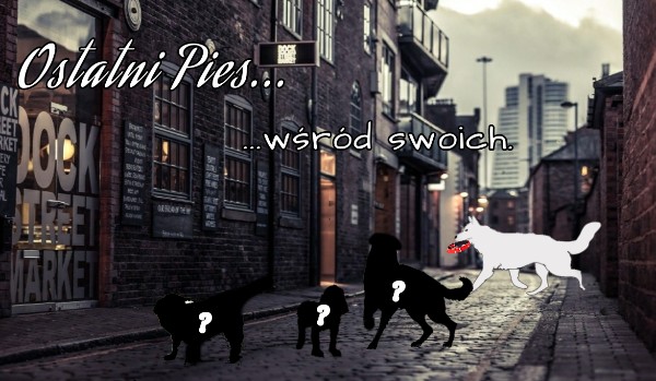 Ostatni Pies… #3  ,,…Wśród swoich”