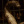 Nagini_the_snake