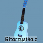 Gitarzystka.z