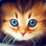 Sweet_Julia