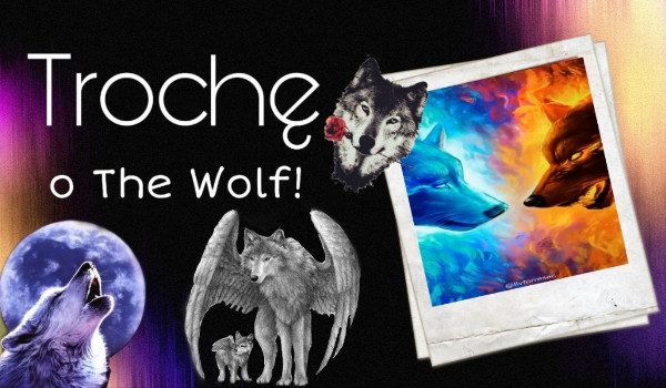 Trochę o The Wolf! #3 – Wataha Ognistej Krwi (przedstawienie Wojowników)
