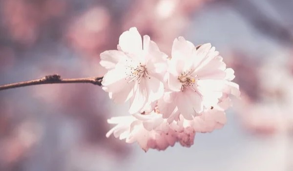 piosenka~nie chce sie bać~7