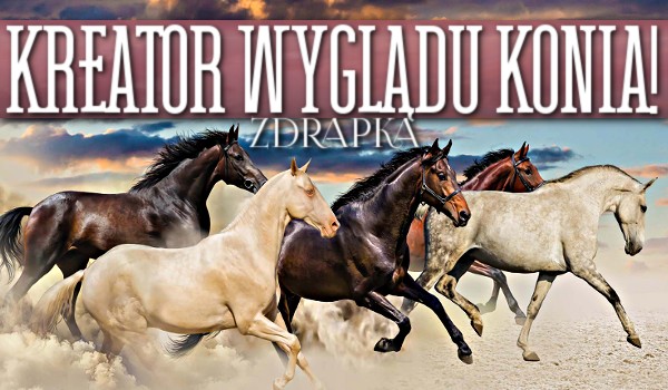 Kreator wyglądu konia! Zdrapka